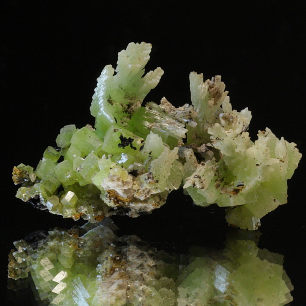 Pyromorfitt (pyromorphite), San Andrés-gruven, Spania - Naturens ...